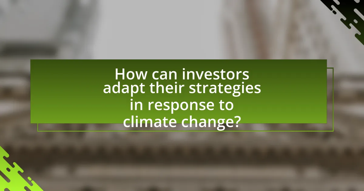 How can investors adapt their strategies in response to climate change?