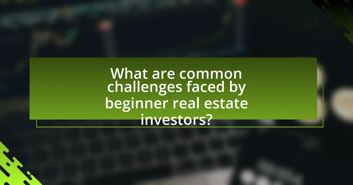 What are common challenges faced by beginner real estate investors?