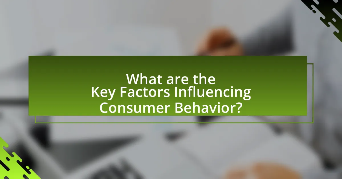 What are the Key Factors Influencing Consumer Behavior?