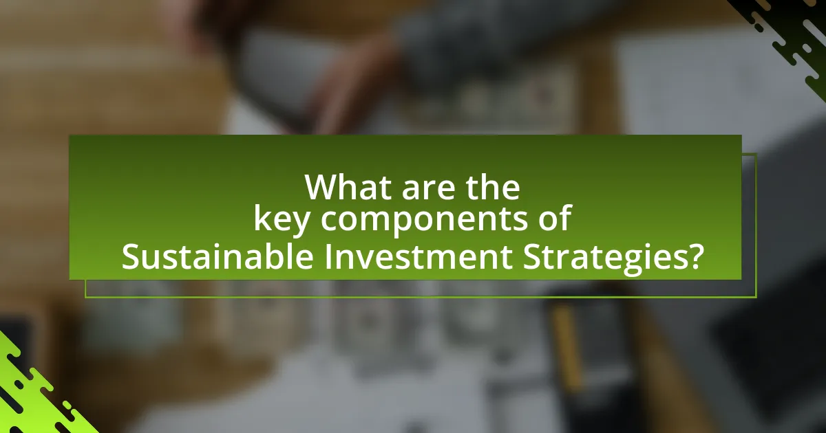 What are the key components of Sustainable Investment Strategies?