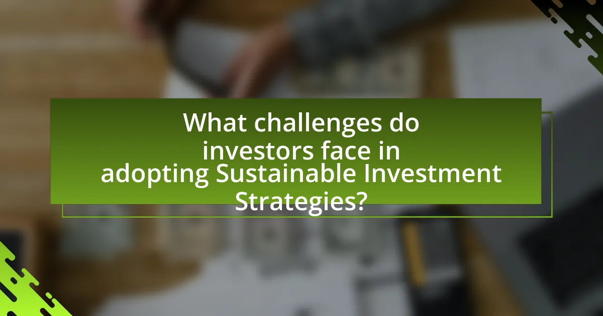 What challenges do investors face in adopting Sustainable Investment Strategies?