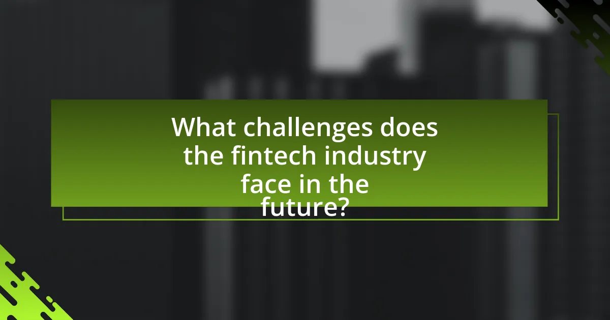 What challenges does the fintech industry face in the future?