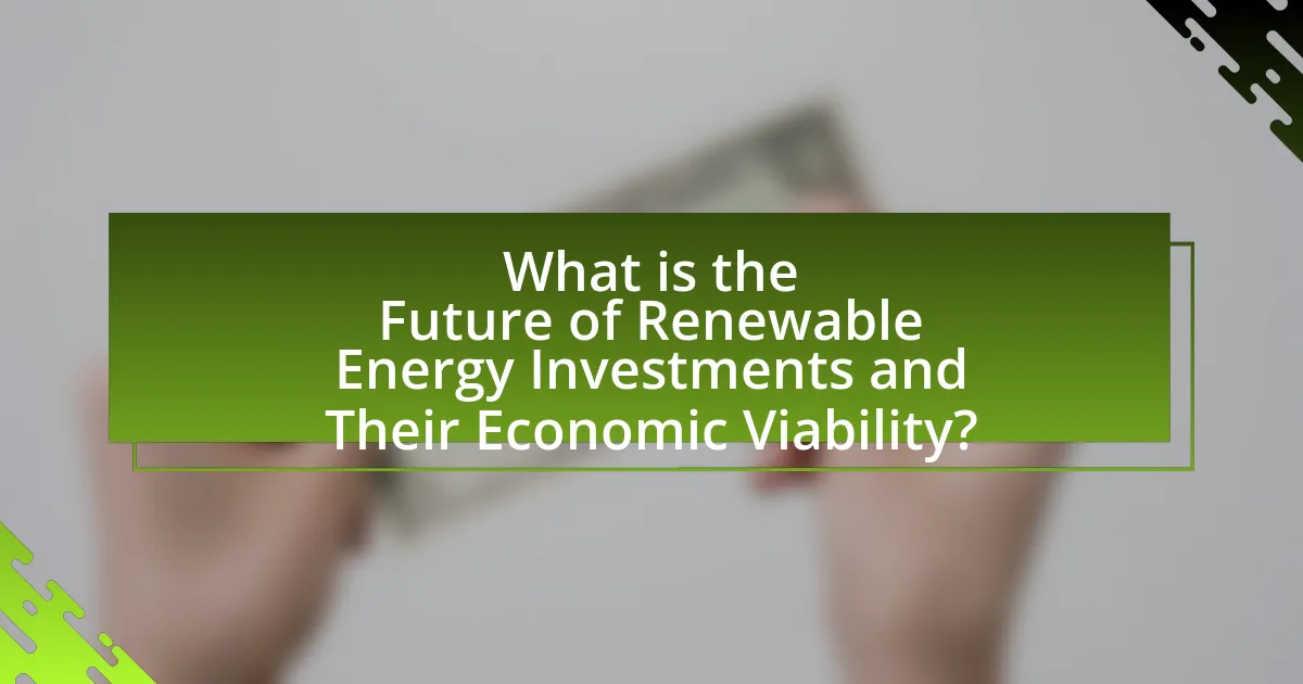 What is the Future of Renewable Energy Investments and Their Economic Viability?